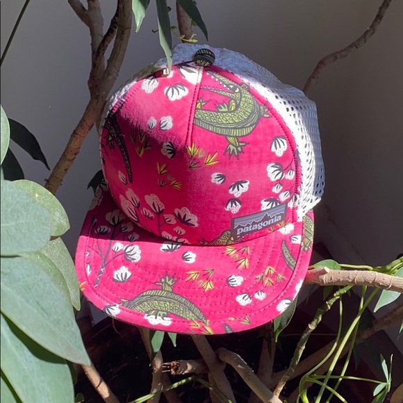 Patagonia trucker hat